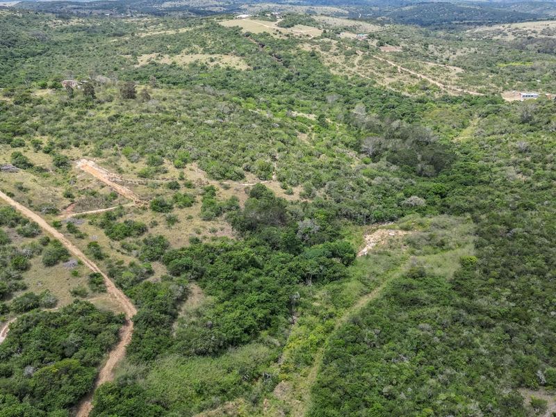 87.9ha Blank Canvas Near East London - Photo 10