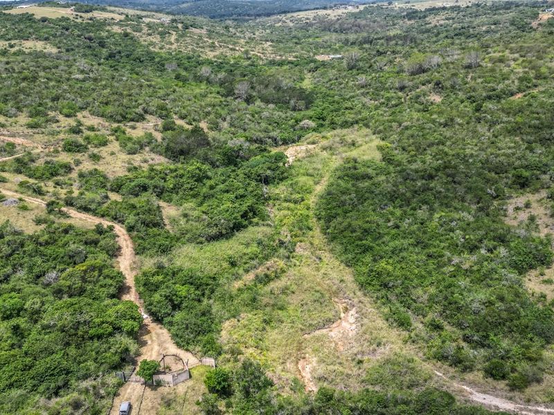 87.9ha Blank Canvas Near East London - Photo 5