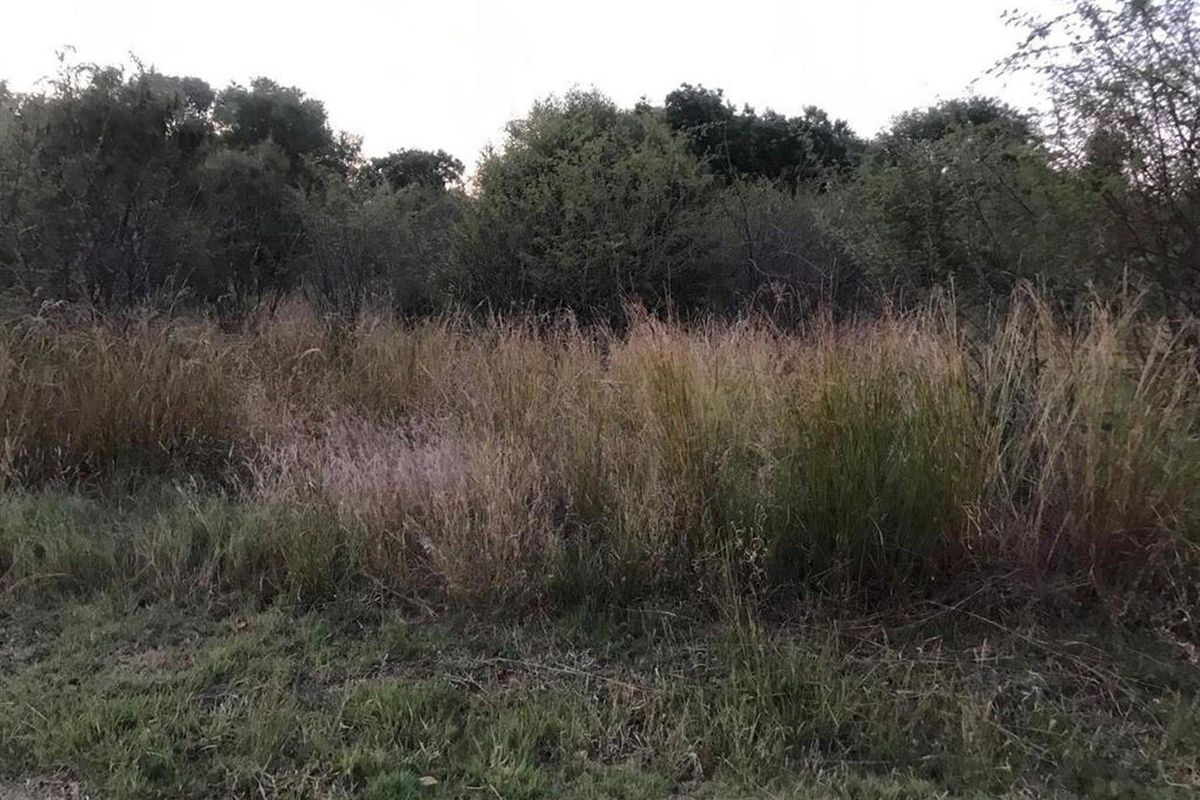 This estate is a harmonious blend of leisure and lifestyle, where every day feels like a vacation. - Photo 3