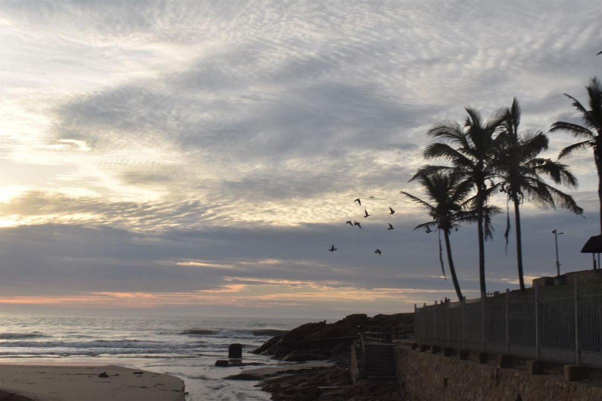 Scenic coastal view featuring a rocky shoreline, palm trees, and a protective perimeter fence along the property boundary.