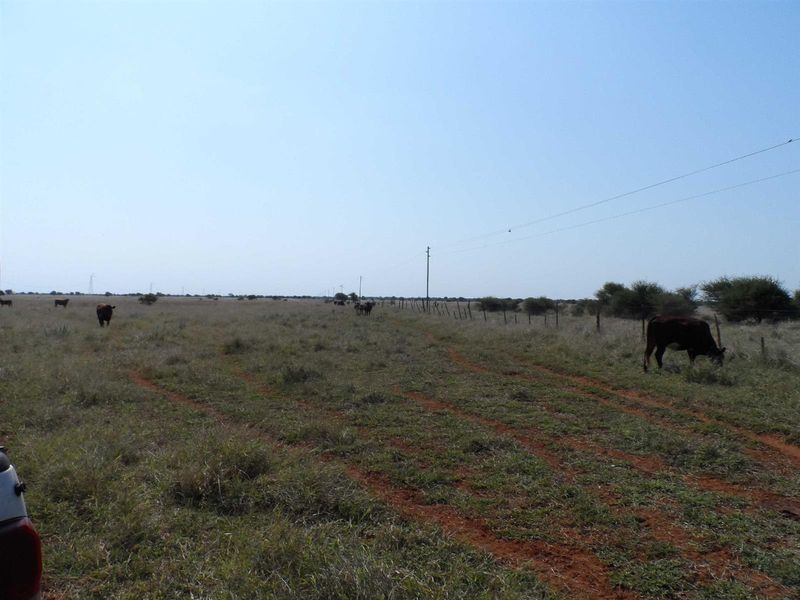 Expansive open farm land featuring natural grazing pasture, perimeter fencing, and utility power lines crossing the landscape.