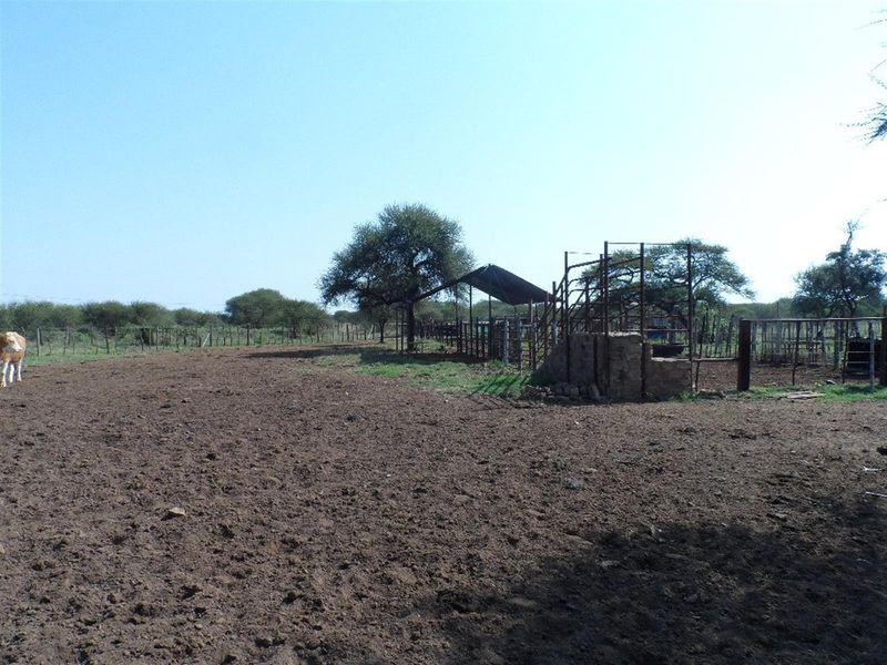 Cattle Farm for Sale - Photo 9