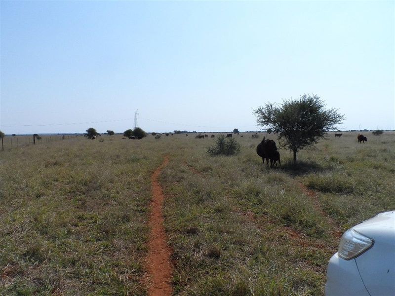 Cattle Farm for Sale - Photo 10