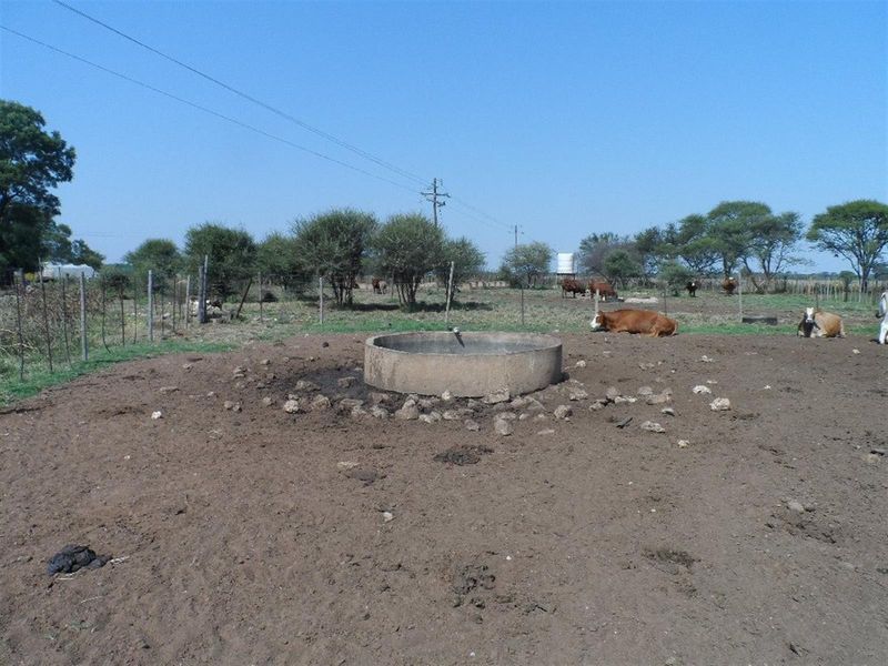 Cattle Farm for Sale - Photo 8