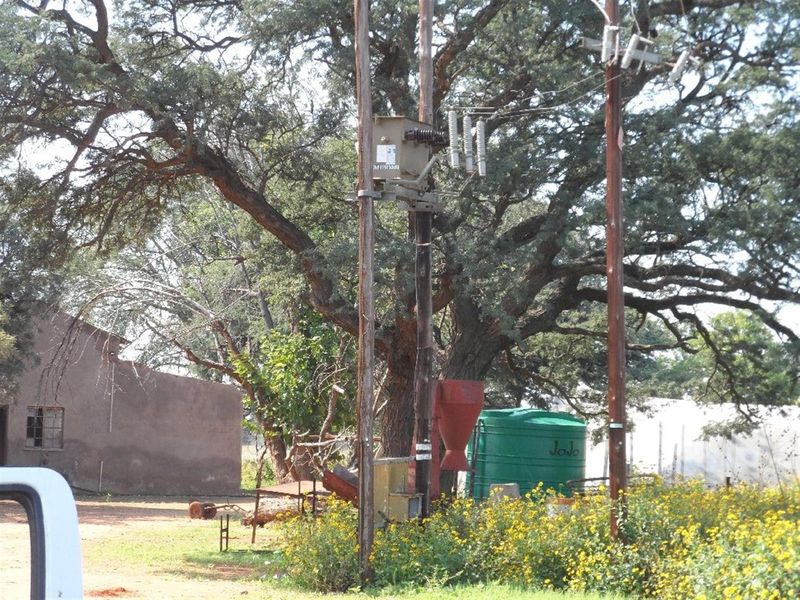 Cattle Farm for Sale - Photo 4