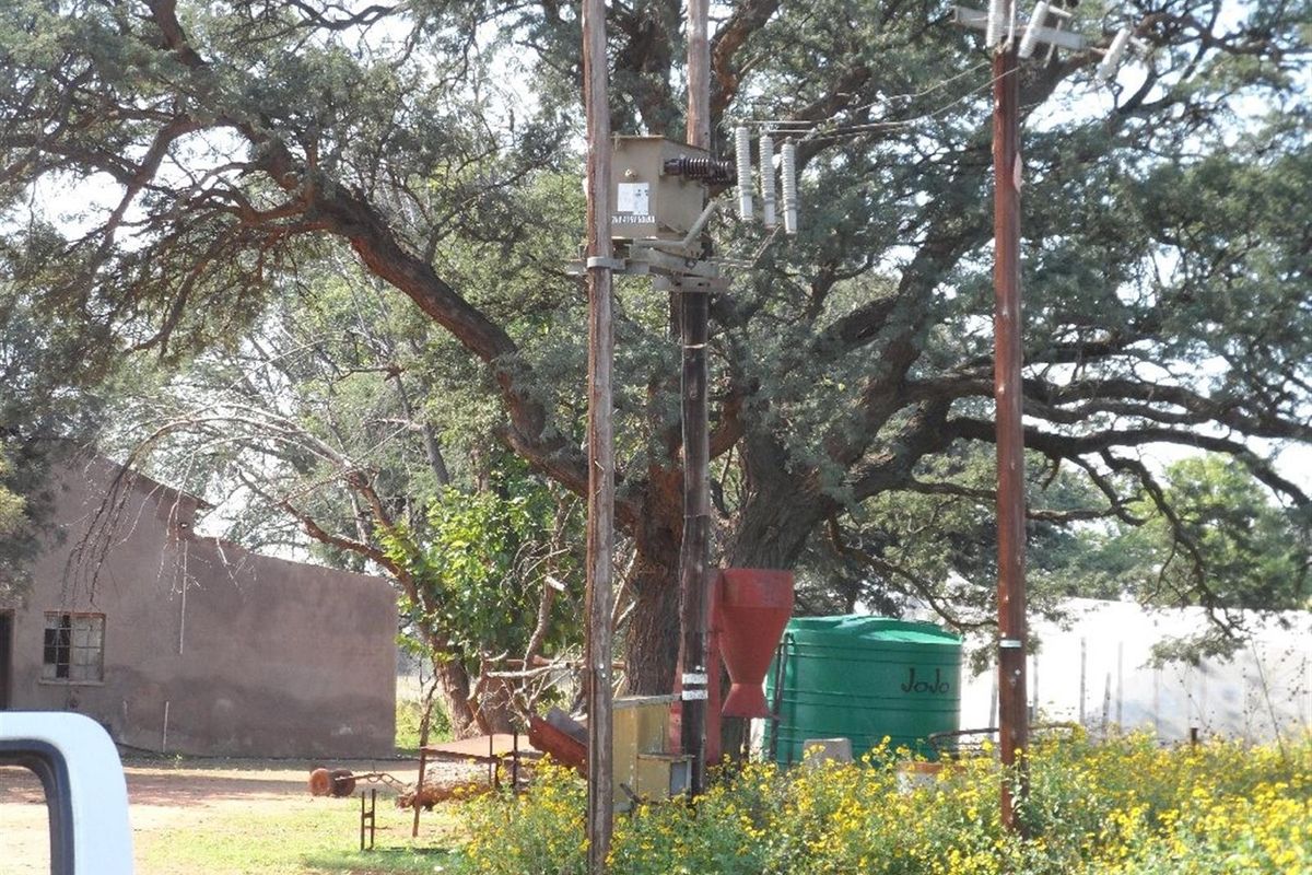 Cattle Farm for Sale - Photo 4