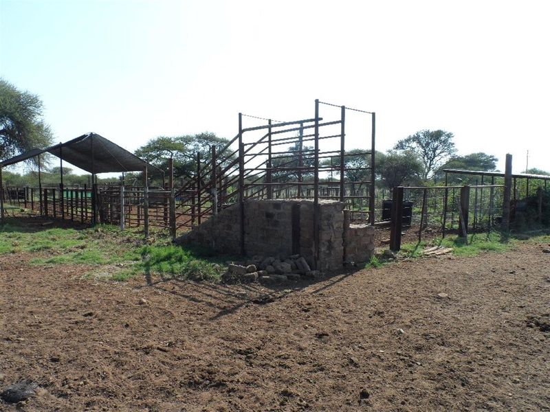 Cattle Farm for Sale - Photo 6