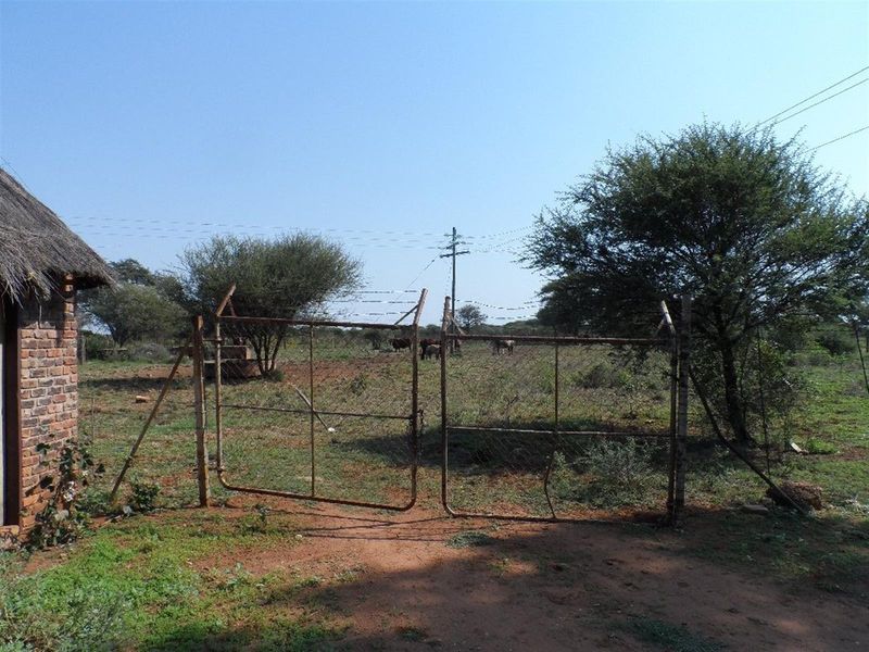 Cattle Farm for Sale - Photo 3