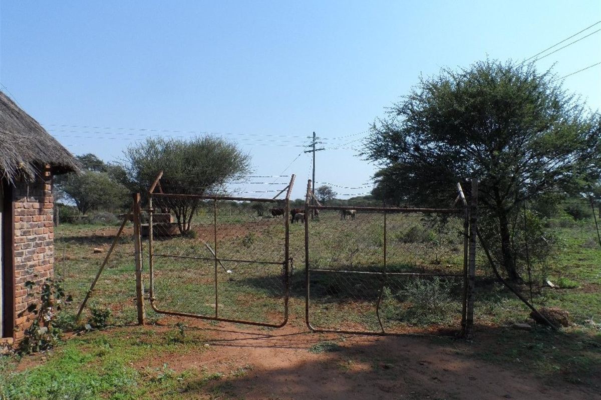 Cattle Farm for Sale - Photo 3