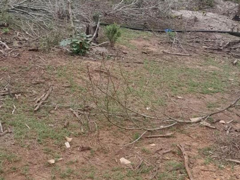 Income Generating Live-Stock Farm For Sale in Rocklands, Port Elizabeth Rural - Photo 4