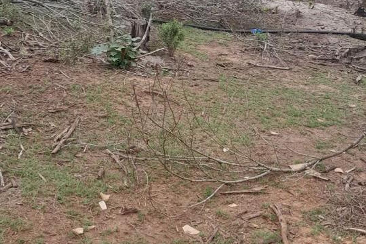 Income Generating Live-Stock Farm For Sale in Rocklands, Port Elizabeth Rural - Photo 4