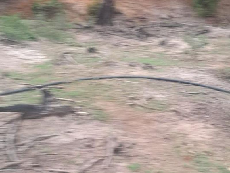 Income Generating Live-Stock Farm For Sale in Rocklands, Port Elizabeth Rural - Photo 8