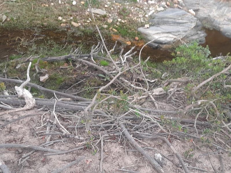 Income Generating Live-Stock Farm For Sale in Rocklands, Port Elizabeth Rural - Photo 9