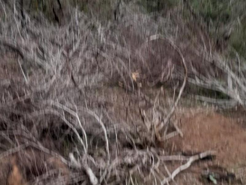 Income Generating Live-Stock Farm For Sale in Rocklands, Port Elizabeth Rural - Photo 7