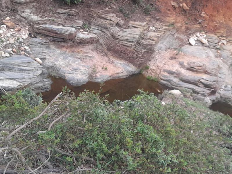 Income Generating Live-Stock Farm For Sale in Rocklands, Port Elizabeth Rural - Photo 10