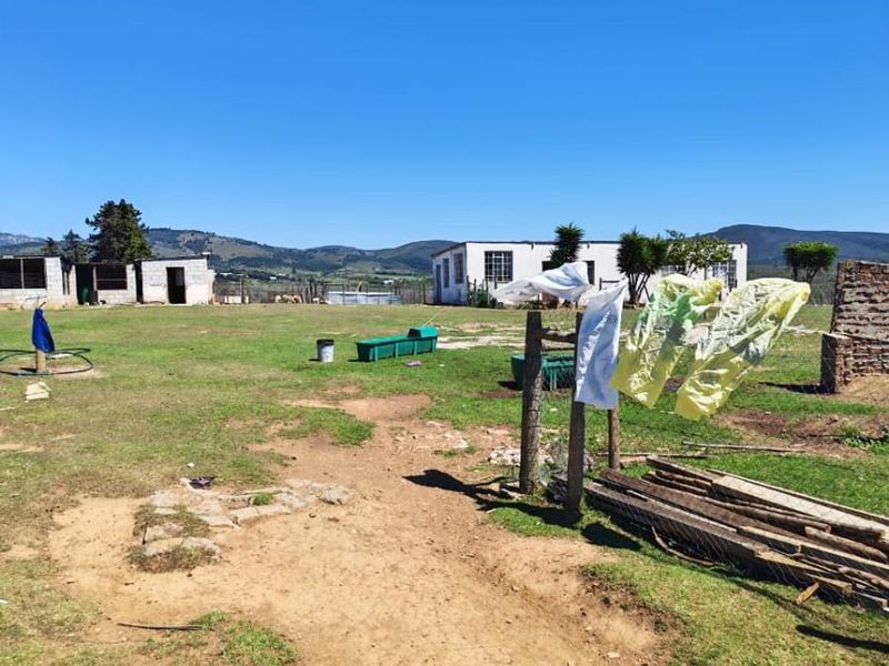 Income Generating Live-Stock Farm For Sale in Rocklands, Port Elizabeth Rural - Photo 2