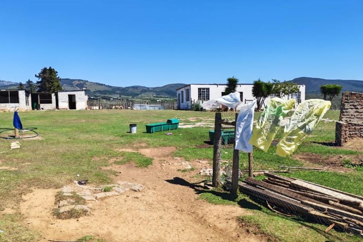 Income Generating Live-Stock Farm For Sale in Rocklands, Port Elizabeth Rural - Photo 2