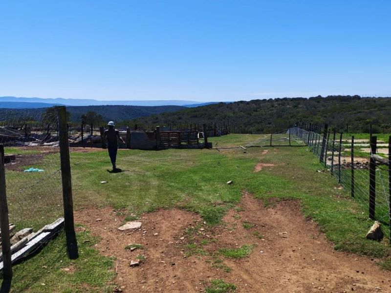 Income Generating Live-Stock Farm For Sale in Rocklands, Port Elizabeth Rural - Photo 3