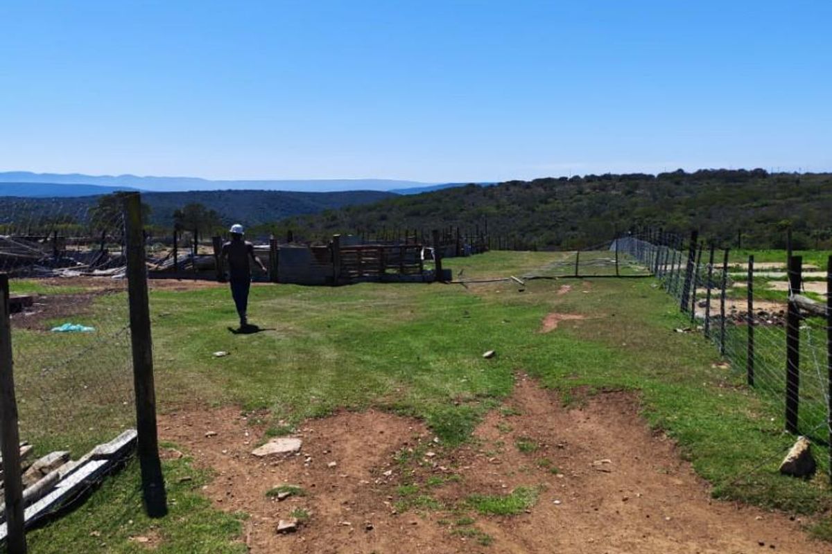 Income Generating Live-Stock Farm For Sale in Rocklands, Port Elizabeth Rural - Photo 3