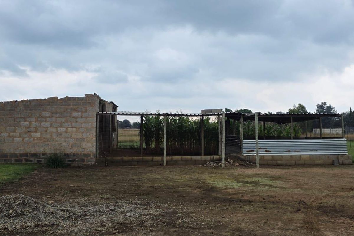 A view of an unfinished, utilitarian structure on a vacant residential plot, featuring exposed concrete block walls and a corrugated metal roof.