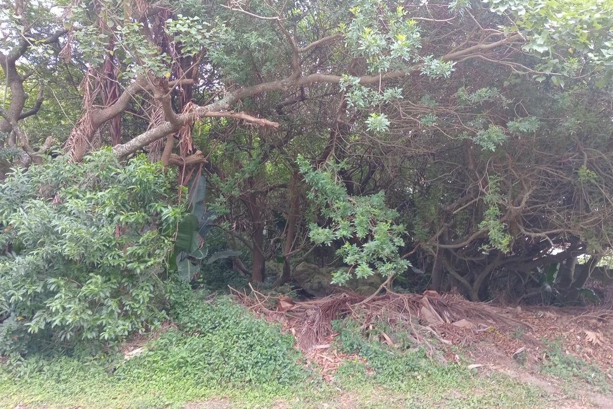 Vacant Stand - 1,473 m2 - Your KZN Coastal Dream Awaits - Photo 3