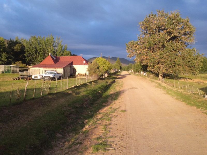 A rural street view showing a dirt road leading towards a residential property with a metal roof and surrounding open land.