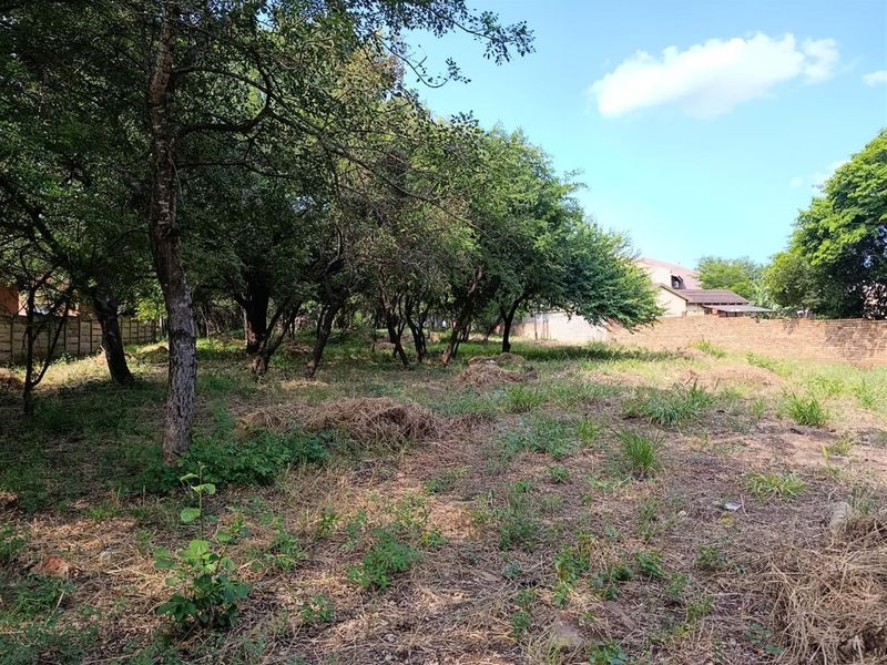 Prime Vacant Stand - Possibly the Last of Its Kind Near Komati CBD - Photo 4