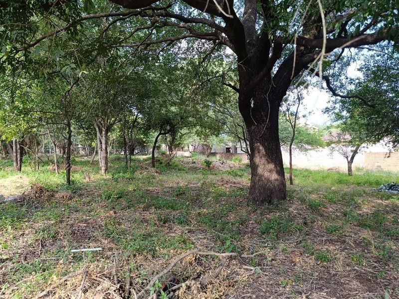 Prime Vacant Stand - Possibly the Last of Its Kind Near Komati CBD - Photo 2