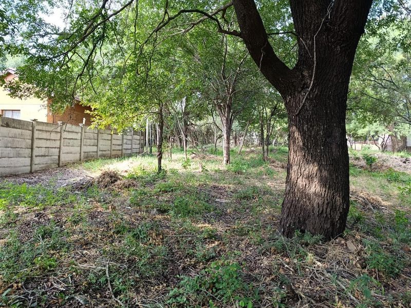 Prime Vacant Stand - Possibly the Last of Its Kind Near Komati CBD - Photo 3