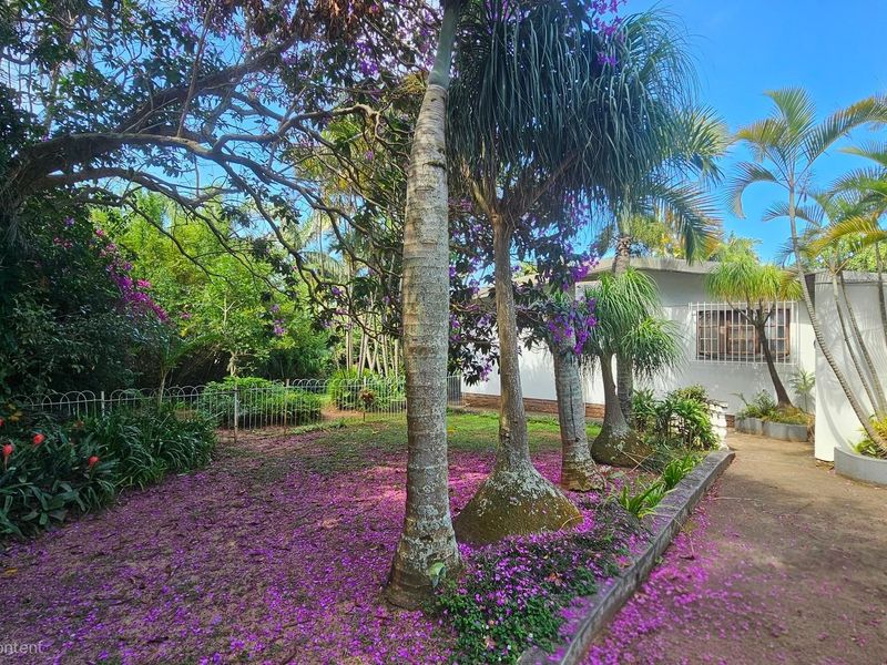 A lush, established garden area featuring mature trees, a paved walkway, and a view of the property's exterior wall with security-barred windows.