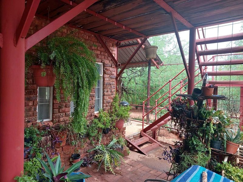 Farm For Sale in Musina / Tshipise, Limpopo - Photo 4