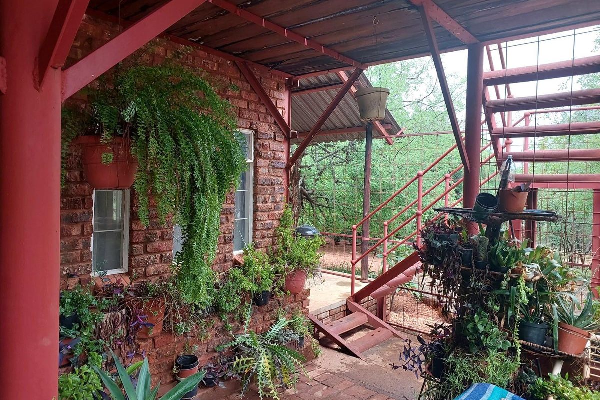 Farm For Sale in Musina / Tshipise, Limpopo - Photo 4