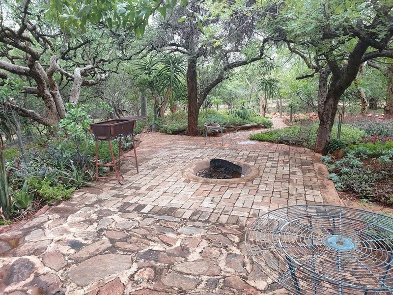 Farm For Sale in Musina / Tshipise, Limpopo - Photo 10