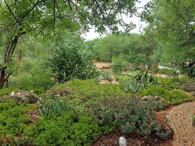 Farm For Sale in Musina / Tshipise, Limpopo - Photo 2