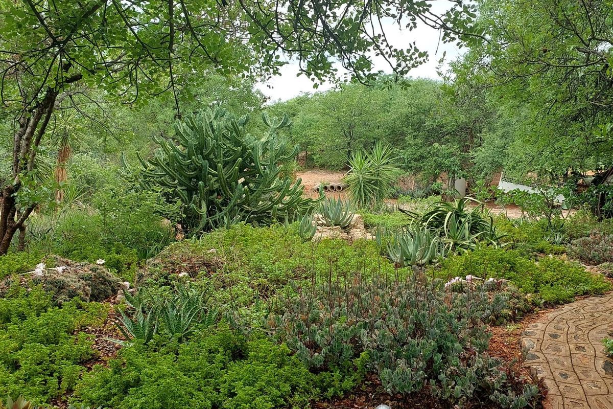 Farm For Sale in Musina / Tshipise, Limpopo - Photo 2