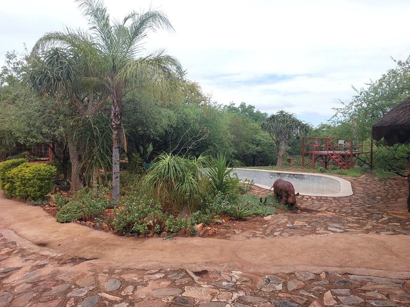 Farm For Sale in Musina / Tshipise, Limpopo - Photo 3