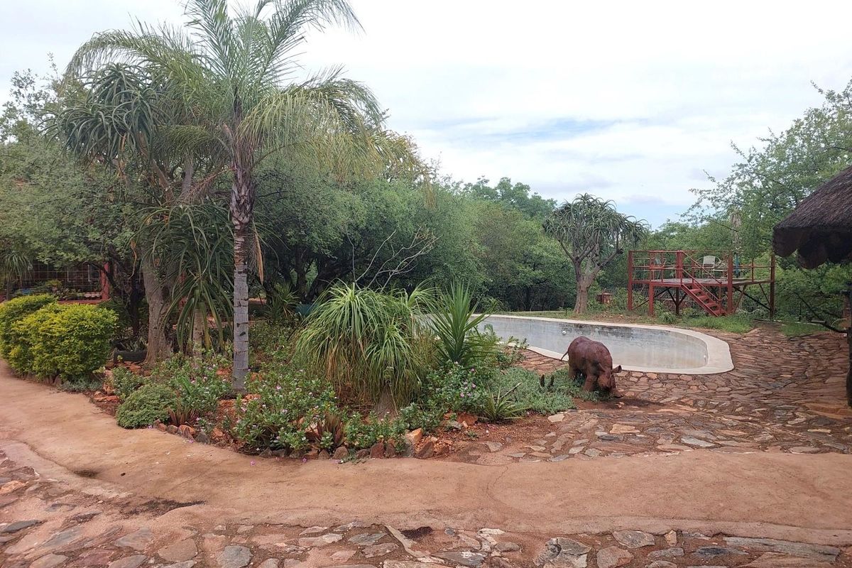 Farm For Sale in Musina / Tshipise, Limpopo - Photo 3