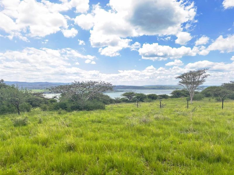 Exceptional Farm For Sale in Albert Falls, Pietermaritzburg, KwaZulu Natal - Photo 3