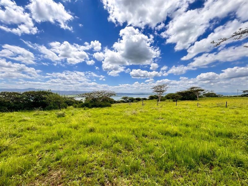 Exceptional Farm For Sale in Albert Falls, Pietermaritzburg, KwaZulu Natal - Photo 2