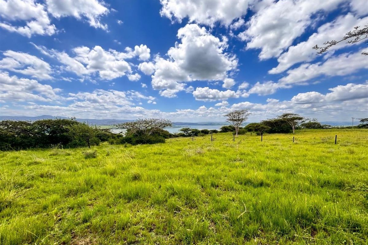 Exceptional Farm For Sale in Albert Falls, Pietermaritzburg, KwaZulu Natal - Photo 2