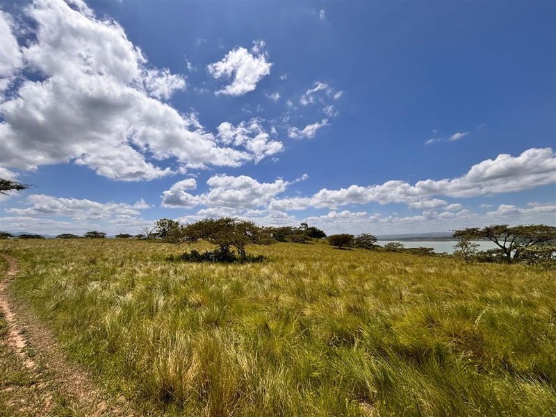 Exceptional Farm For Sale in Albert Falls, Pietermaritzburg, KwaZulu Natal - Photo 9