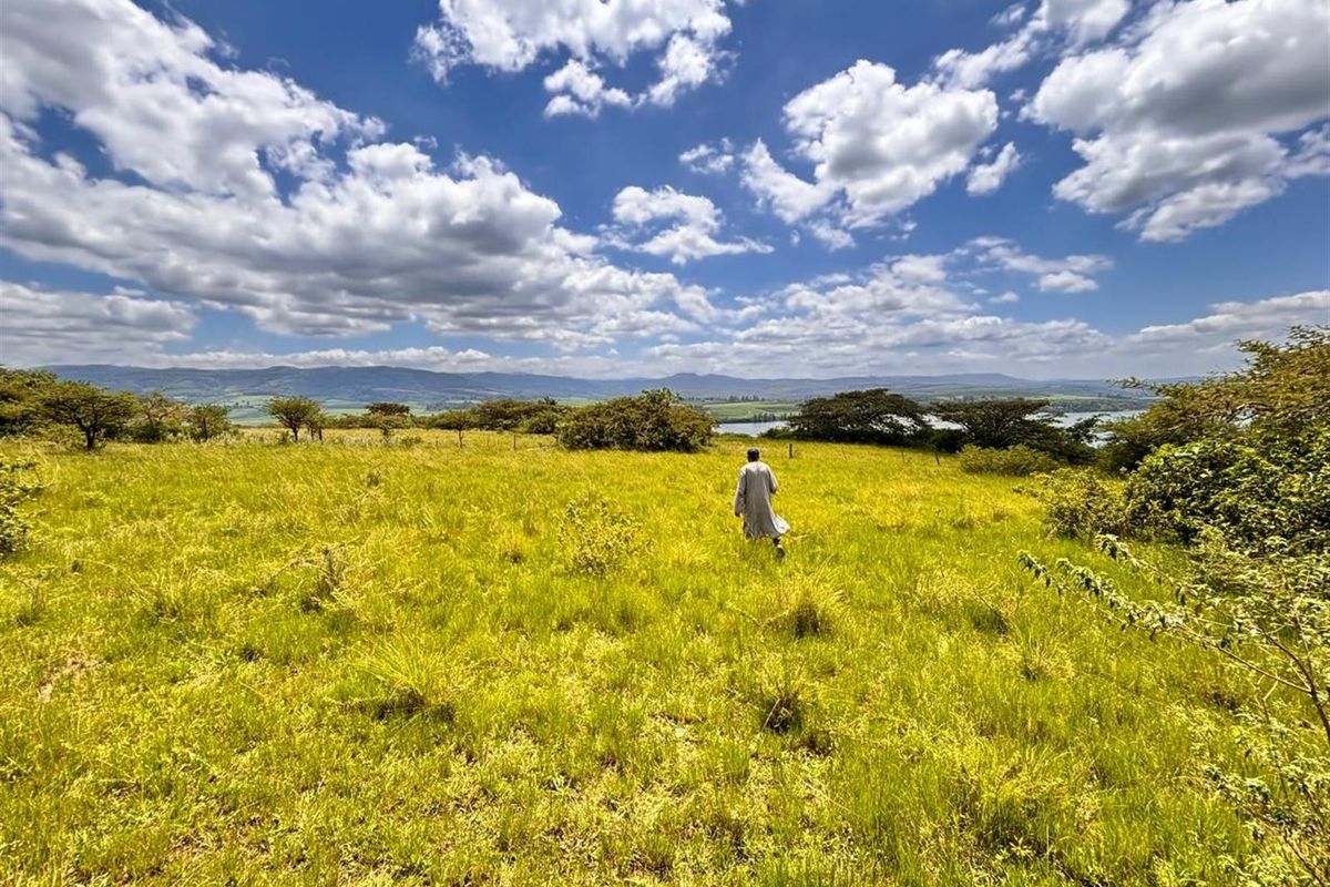 Exceptional Farm For Sale in Albert Falls, Pietermaritzburg, KwaZulu Natal - Photo 4