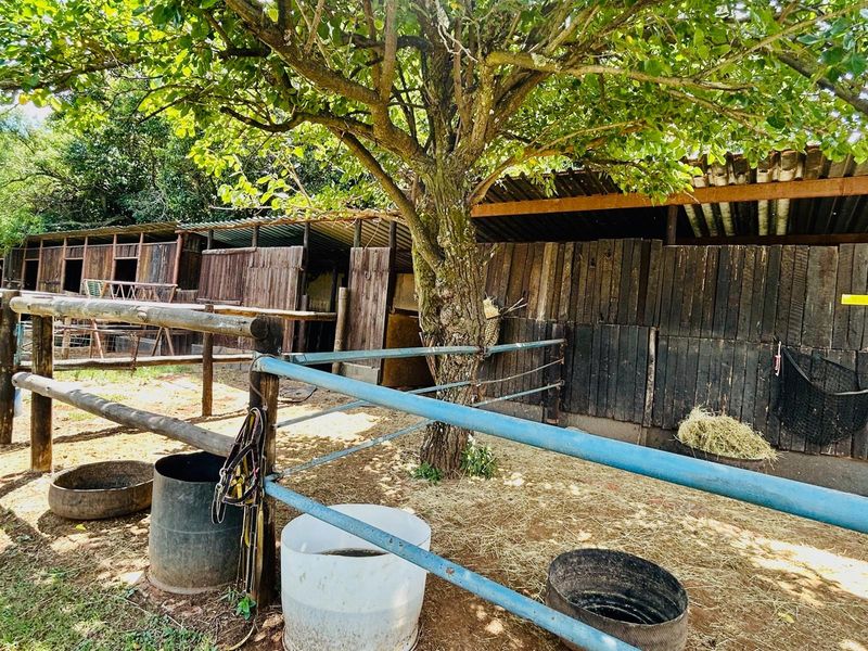 Outdoor stable area featuring timber construction, corrugated roofing, and metal paddock fencing, suitable for equestrian use on a small holding.