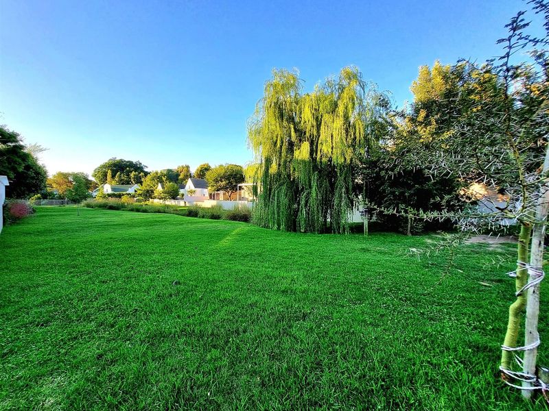 A spacious, well-maintained residential garden featuring a large mature willow tree and expansive green lawn area.
