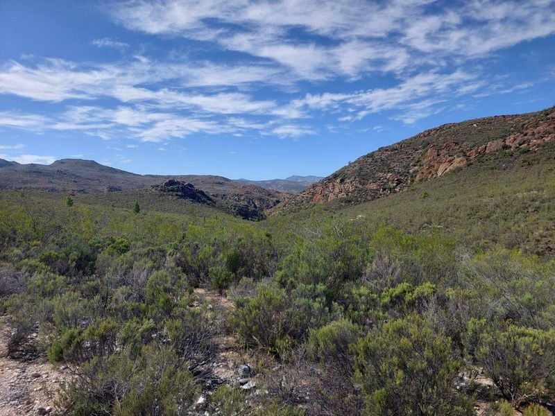 Farm For Sale in Ladismith Rural, Ladismith - Photo 3