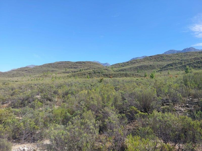 Farm For Sale in Ladismith Rural, Ladismith - Photo 2