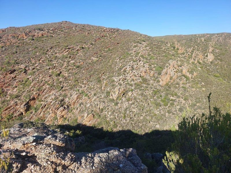 Farm For Sale in Ladismith Rural, Ladismith - Photo 10