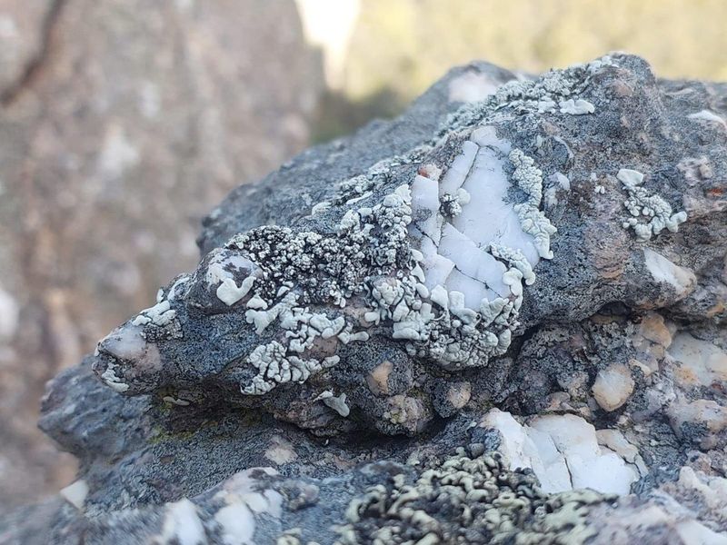 Farm For Sale in Ladismith Rural, Ladismith - Photo 7