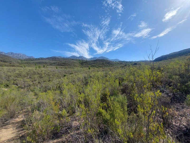 Farm For Sale in Ladismith Rural, Ladismith - Photo 4