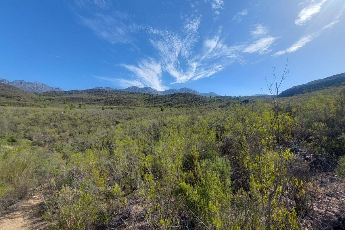 Farm For Sale in Ladismith Rural, Ladismith - Photo 4